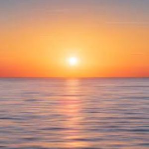 Meet your Posher, Winifred